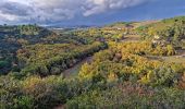 Tocht Stappen Conques-sur-Orbiel - Les Hauts du Rieu Sec - Photo 2