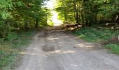Trail Mountain bike Saint-Clément - sortie vtt du 09092018 - Photo 2