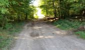 Percorso Mountainbike Saint-Clément - sortie vtt du 09092018 - Photo 2