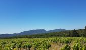 Tocht Stappen Le Puech - Les Vailhès Laulo Plateau d'Auverne Salagou - Photo 12