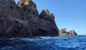 Tocht Motorboot Ota - Calanques par la mer Scandola Girolata - Photo 8