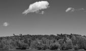 Percorso Marcia Montauroux - Esterets du Lac - Observatoire - Lac de St Cassien - Photo 2