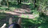 Trail Horseback riding Francheville - Chez pat à l’étang toul Tivio  - Photo 2