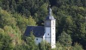 Tour Zu Fuß Schalkau - Rundwanderweg Theuern 2 - Photo 1