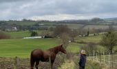 Tocht Stappen Olne - Olne croix magua - Photo 3