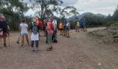 Tocht Stappen Saint-Raphaël - Les 5 cols- Esterel - Photo 4