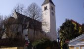 Percorso A piedi Gemeinde Klosterneuburg - Kierling - Eichenhain - Photo 6