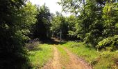 Randonnée Marche Trosly-Breuil - en forêt de Compiègne_28_les Tournantes sur le Mont Saint-Mard et sur le Mont Collet - Photo 12