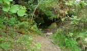 Tocht Stappen Meyrueis - Meyruies - Gorges de la Jonte - Grotte de Dagilan - Photo 17