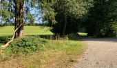 Trail Walking La Roche-en-Ardenne - Autour de Samrée  - Photo 8