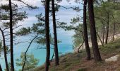 Trail Walking Crozon - Étape 5/6 du tour de Crozon (boucle à partir de St-Hernot) - Photo 1