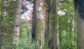Excursión Senderismo Beauvechain - #240524b - Forêt de Meerdael, drève et étang de Warande - Photo 10