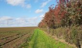 Trail Walking Pont-à-Celles - Buzet - Rosseignies - Obaix - Buzet - Photo 11