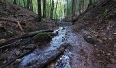 Tour Zu Fuß Spiegelberg - Rundwanderweg S2 - Photo 1