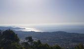 Tour Wandern Toulon - le mont faron - Photo 3