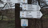 Tocht Te voet Bühl - Ortenauer Friedenspilgerweg - Photo 5