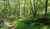 Tocht Stappen Luik - parc d avroy . Landes de Streupas . parc d avroy - par monts et par vaux  - Photo 6