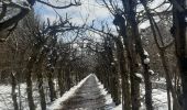 Tour Wandern Theux - ferme haut marais . vert Buisson . croix papet . les cours . farineux  - Photo 6