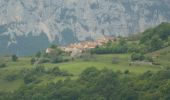 Randonnée Marche Châtillon-en-Diois - Montagne de Beaupuy - Nonnières - Photo 4