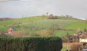 Excursión Senderismo Aubel - Tour pédestre (complet) des vignes du vin du pays de Herve - Photo 8