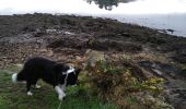 Excursión Senderismo Baden - Les 7 îles  01/01/20 . - Photo 2