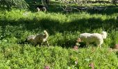 Trail Walking Le Bar-sur-Loup - Callivore2 - Photo 7