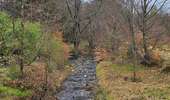 Trail Walking Baelen - Hestreux - La vallée de la Soor - Photo 5