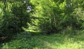 Randonnée Marche Dampleux - en forêt de Retz_82_sur les Routes de la Bruyère aux Loups et de la Chrétiennette - Photo 3