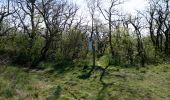 Trail Walking Puy-Saint-Martin - Puy-Saint-Martin - Crête de Chevrière - La Pigne  - Photo 20