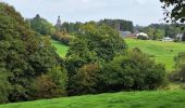 Tocht Stappen Manhay - Le tour de Crahay - Photo 2