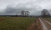 Tocht Stappen Stavelot - stavelot . somagne . henoumont . la bergerie . stavelot  - Photo 5