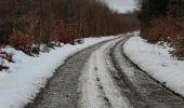 Tocht Stappen Neufchâteau - Randonnée à Neufchâteau  - Photo 6