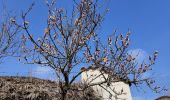 Tour Wandern Champdieu - Randonnée sur les hauteurs de Champdieu  - Photo 3