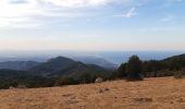 Trail Walking Banyuls-sur-Mer - 22 08 / 8-9-10 Oli40 - épisode 1 - Photo 8