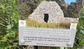 Randonnée Marche Saussines - Saussines Les Capitelles de la Benovie - Photo 11