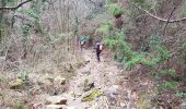 Trail Nordic walking Lodève - Chemin des Tines - La Défriche - Belbezet - Montifort - Photo 13