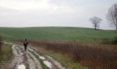 Trail Walking Tervuren - #201230 - Vossem, rives du Voer, Reuveld, Termuntkouter, Dorre et Keyberg**** - Photo 3