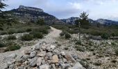 Trail Trail Cheval-Blanc - Regalon OPPEDE - Photo 3
