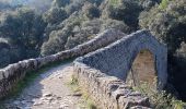 Excursión A pie Sales de Llierca - L'Alta Garrotxa de Vayreda - Photo 3