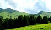 Trail On foot Oberaudorf - Wanderweg 662 - Unteres Sudelfeld - Wildalpjoch - Photo 6