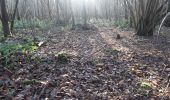 Tour Wandern Brou-sur-Chantereine - brou 18-12 - Photo 16