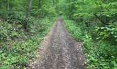 Trail Walking Montigny-le-Tilleul - Balade dominicale  - Photo 1
