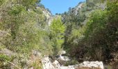 Trail Walking Évenos - Les Gorges du Destrel depuis le  Broussan - Photo 10