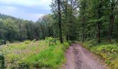 Trail Walking Aywaille - Le tour de septroux - Photo 2