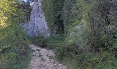 Randonnée Marche Villes-sur-Auzon - entre Auzon et le GR du massif du Ventoux - Photo 11