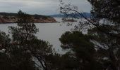 Trail Walking Saint-Cyr-sur-Mer - Boucle Calanques du port D'Along Bando - Photo 1