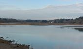 Tour Wandern La Trinité-sur-Mer - PR_56_La-Trinite-Sur-Mer_CA_03_Circuit4b_Sentier-Douanier-Et-Marais-Salants_20221217 - Photo 10