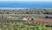 Randonnée Marche Fleury - Oustalet à Salnt Pierre la Mer - Domaine de Laquirou - Photo 1