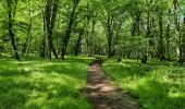 Tour Mountainbike Le Brethon - rouge et noir - Photo 1