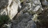 Percorso Marcia La Roquebrussanne - Source des Orris rochers menhirs (83) - Photo 6